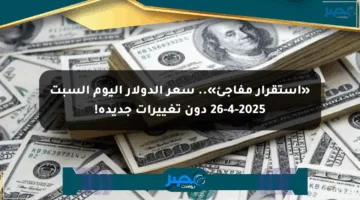 «استقرار مفاجئ».. سعر الدولار اليوم السبت 26-4-2025 دون تغييرات جديدة!
